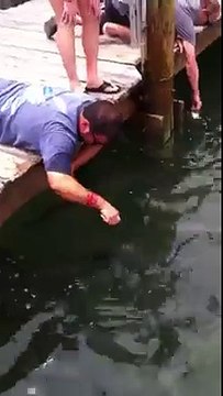 funny vieo (2)?syndication=228326