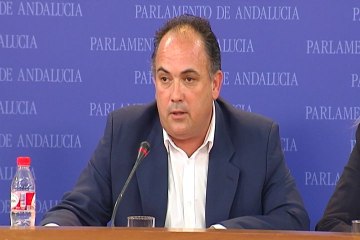 C's dice que no da un "cheque en blanco" a Díaz