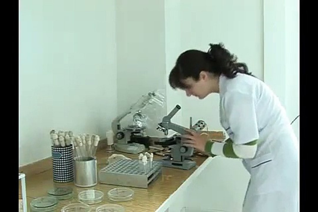 Vitamax-E