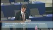 Professional Qualifications Directive report is ideologically driven - Gerard Batten MEP