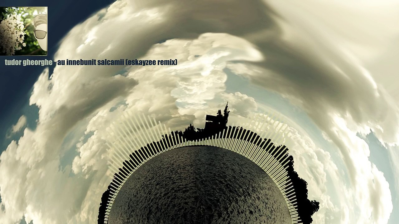 Tudor Gheorghe - Au Innebunit Salcamii (EsKayZee Remix)