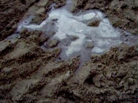 Mdr vidéo moi stéf