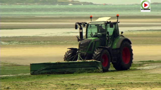 Saint-Michel-en-Greves | Retour des algues vertes - Bretagne Télé
