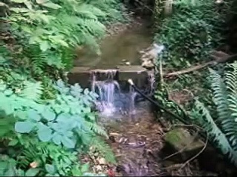 Mon bélier hydraulique .Hydraulic ram Pump .