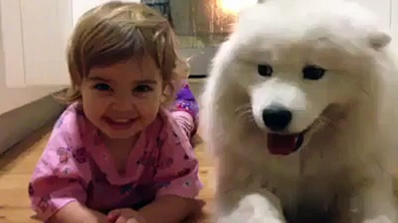 Laughing Dog