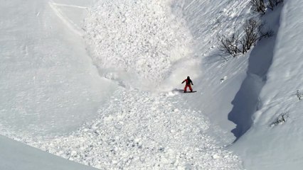 A hare runs into an avalanche