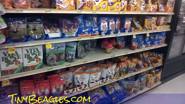 Bad Chinese Chicken Jerky ~ Poison Dog Treats Are Back ~ Please Share if You Care