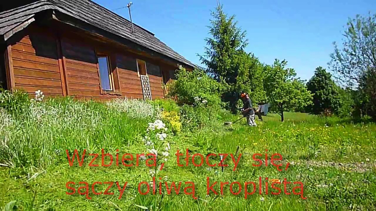 Chwalcie Boga łąki umajone, gory doliny zielone