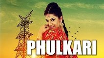 Phulkari | Desi Robinhood | Kaur B | Full Music Video 2015
