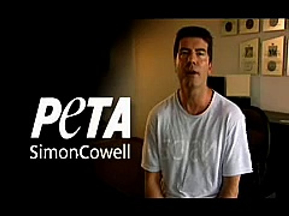 Simon Cowell says, "Don't Leave Your Dog In Your Car"