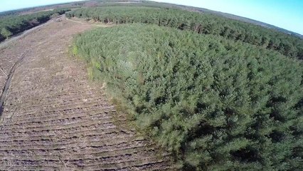 Real Ghost Girl in forest. Quadcopter drone footage.