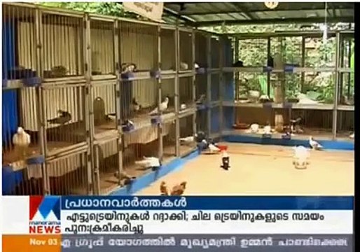 Documentary on Fancy Pigeon rearing in kerala
