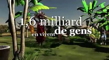 Année Internationale des Forêts 2011  (Spot 1 min.)