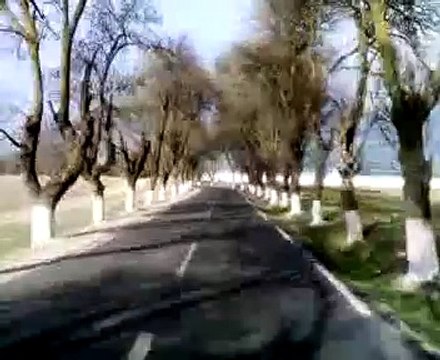 souk ahras belle route algérie ferme de bourgas