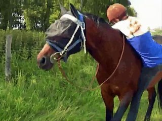 How to mount a horse bareback