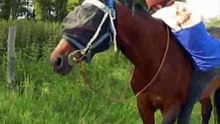 How to mount a horse bareback