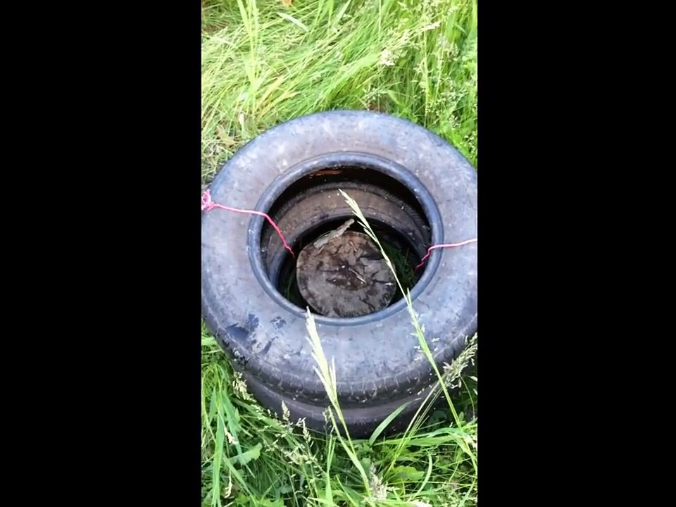 Brad's Wood Chopping Tutorial
