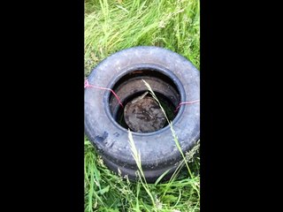 Brad's Wood Chopping Tutorial