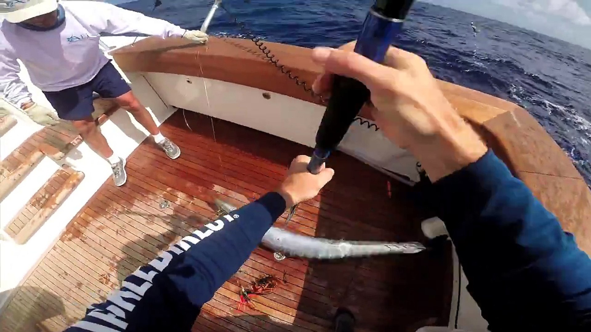 Wahoo Fishing Cayman Islands Pickle Bank Captain Ricky Wheeler