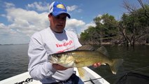 Walleye Slip Bobber Madness