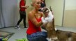 WWE Superstars and Divas play with adorable puppies