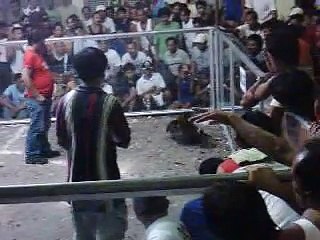 JLC BLACK MCRAE vs RED OPON