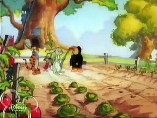 New Adventures Winnie Cartoons Pooh Bear Caws and Effects