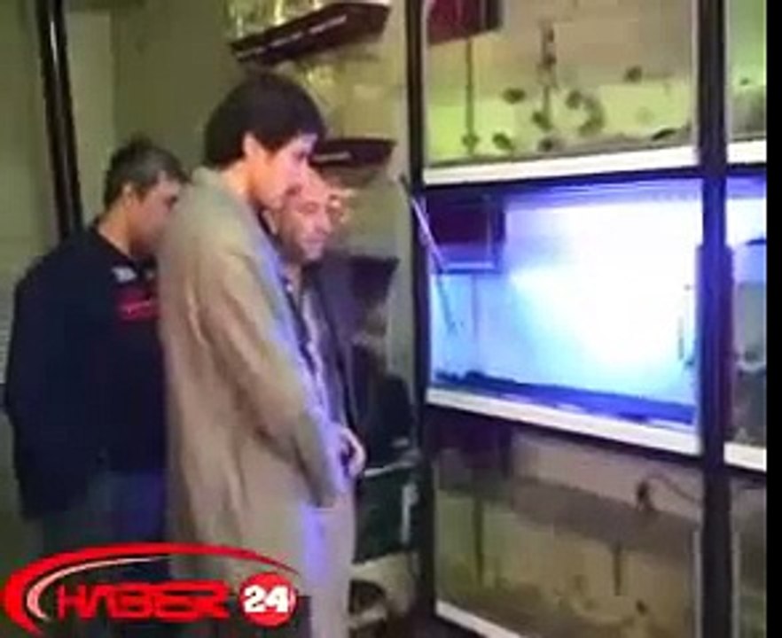 ALLAH NAME ON FISH