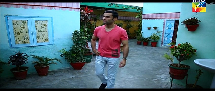 Sartaj Mera Tu Raj Mera Episode 67 HUM TV Drama 9 June 2015