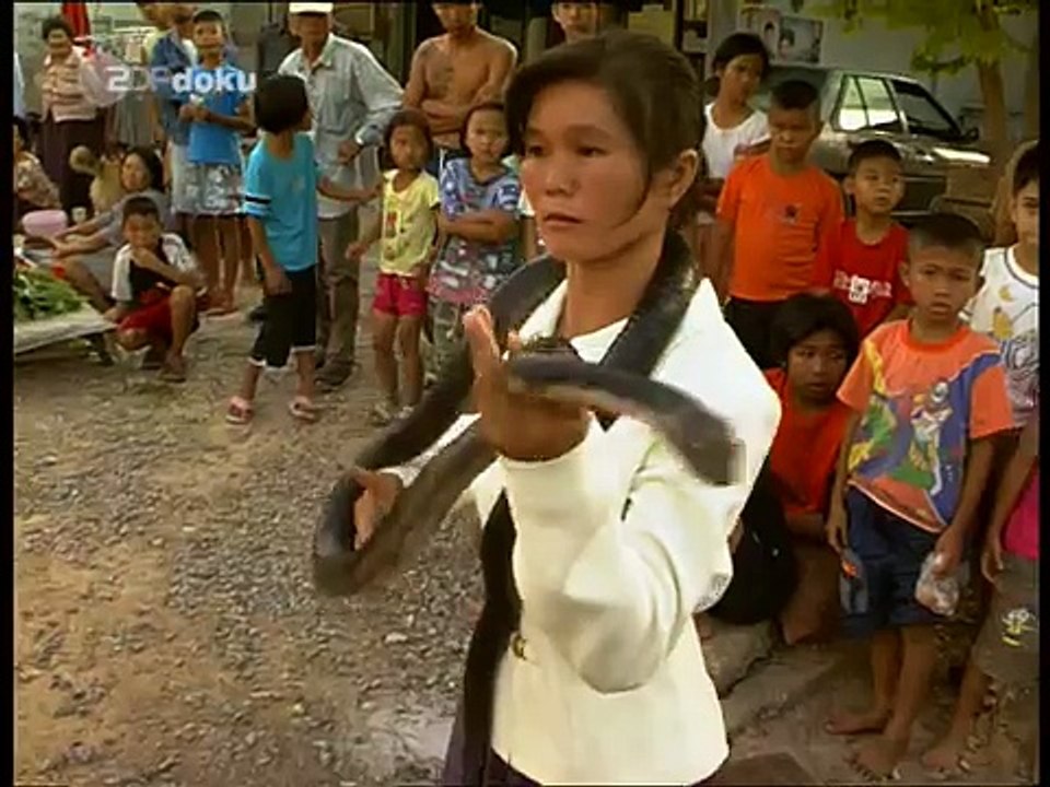 King Cobra kiss