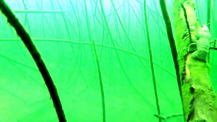 Зимняя ловля раков