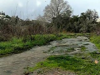 זרימות בעמק הצבאים, ירושלים, 07.01.13