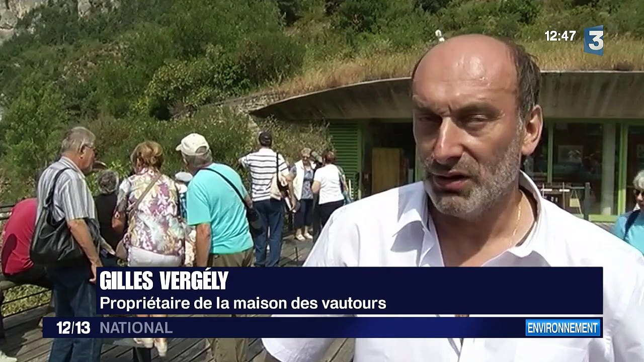 Les vautours font leur grand retour en Lozère