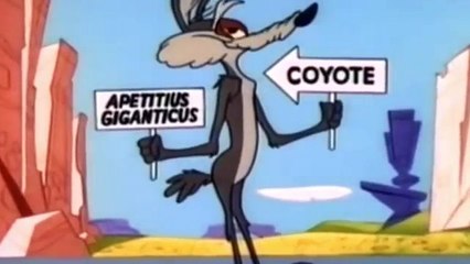 Road Runner - Zip N Snort & Lickety Splat