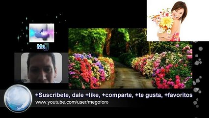 secreto de un perfume, la clave del aroma, Saber, Conocer, Misterios, Enigmas,  Español, latino