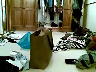 Funny Australian Mist Cat playing with a blue box