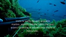 Pescasub: Pseudocaranx dentex, inusuale cattura nelle acque del canale di Sicilia