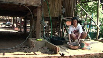 Expensive espresso: Thailand's elephant dung coffee