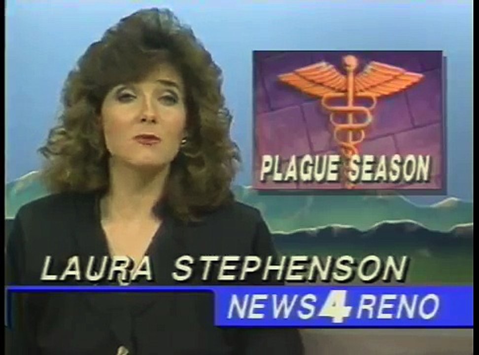 Beaver fever TV news blooper anchors can't stop laughing video