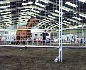 Kelly Marks Demonstration