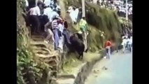 Animal Attacks Compilation 2015 shocking videos when animals attack BEST OF caught on came