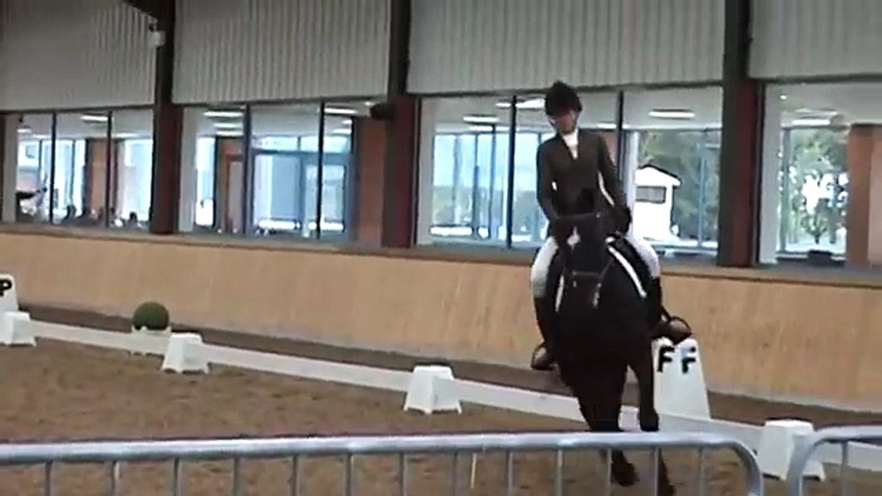 British Dressage Petplan Area Festival - Novice 38