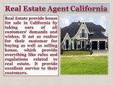 Realtor Homes For Sale - Real Estate Agent 888