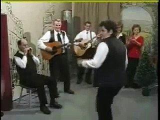 Les Joyeux Beaucerons - Reel Harmonica