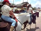 Cavalgada na Praia São Luis - MA (Beach Ride in Sao Luis - MA)