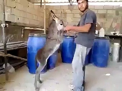 VID-20150519-WA0004.mp4