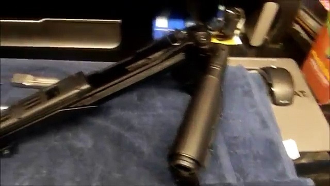 Ruger 10/22 Mods