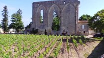 Saint Emilion mai 2015