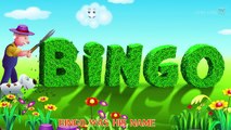 Bingo Dog Song- 3D Animation - English Nursery Rhymes - Nursery Rhymes - Kids Rhymes - for children with Lyric