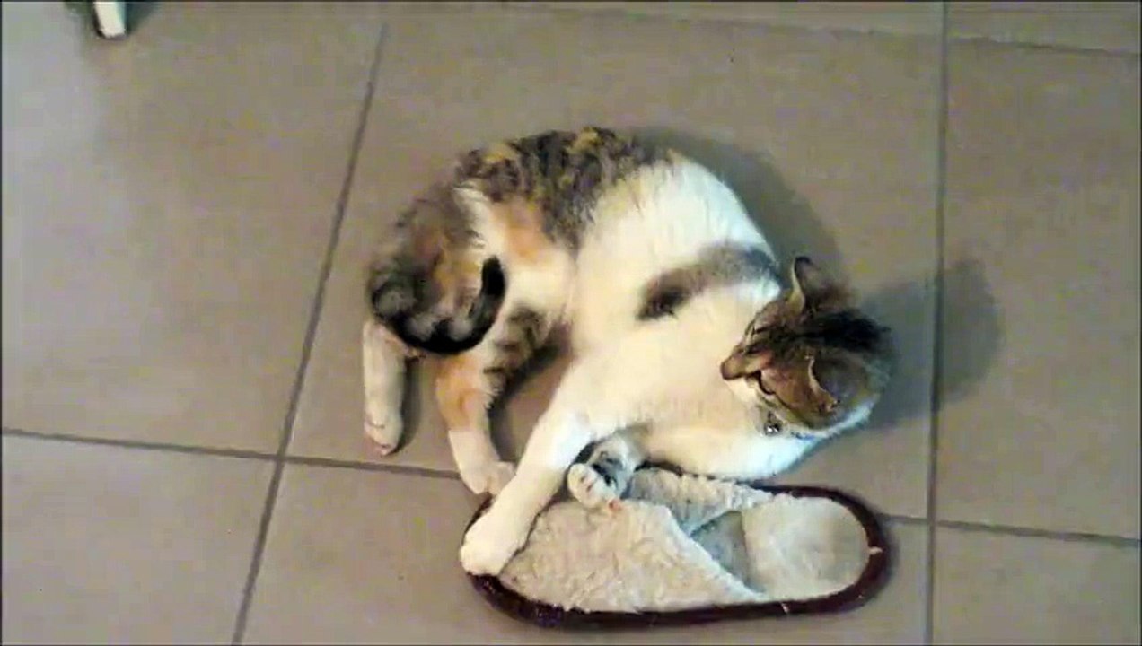 pantoufles